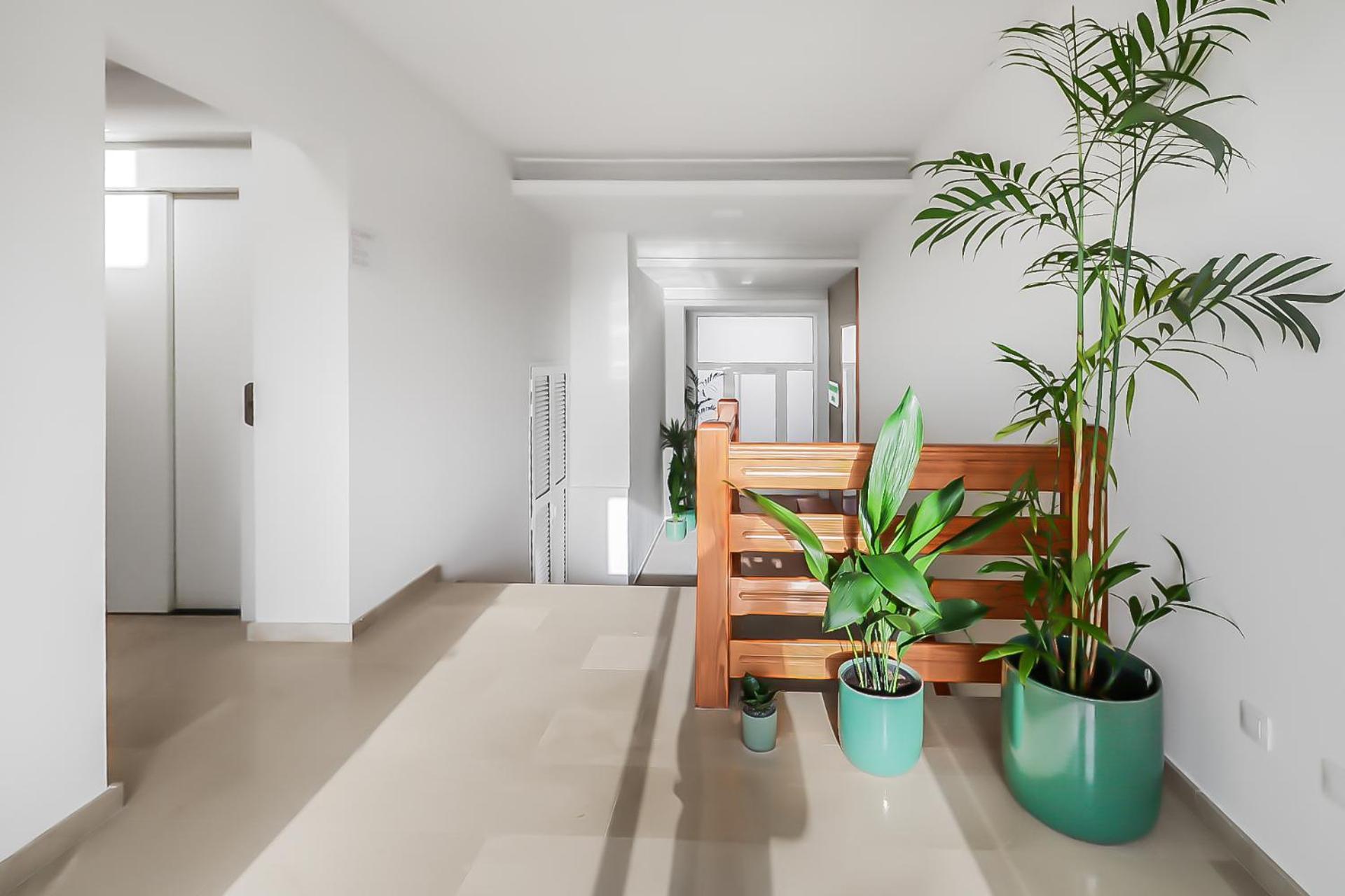 Apartamento Shine *