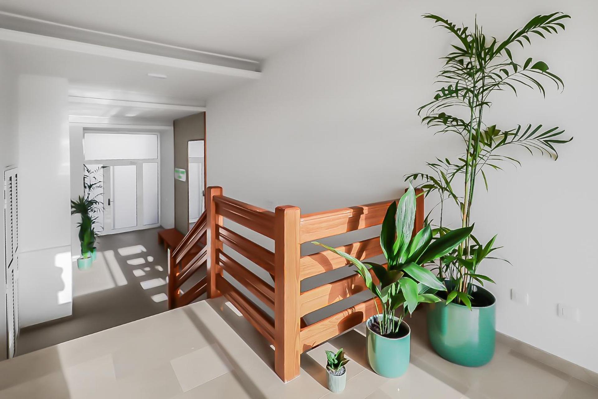 Apartamento Shine Agaete (Gran Canaria)